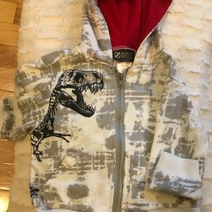 2T Dinosaur Boys Hoodie 🦕🦖